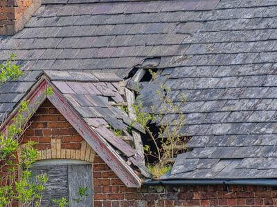 Professional mold remediation services in Tooele